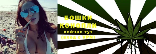 молекула духа Белоозёрский