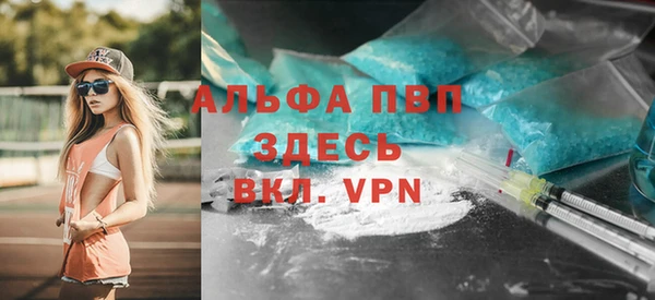 молекула духа Белоозёрский